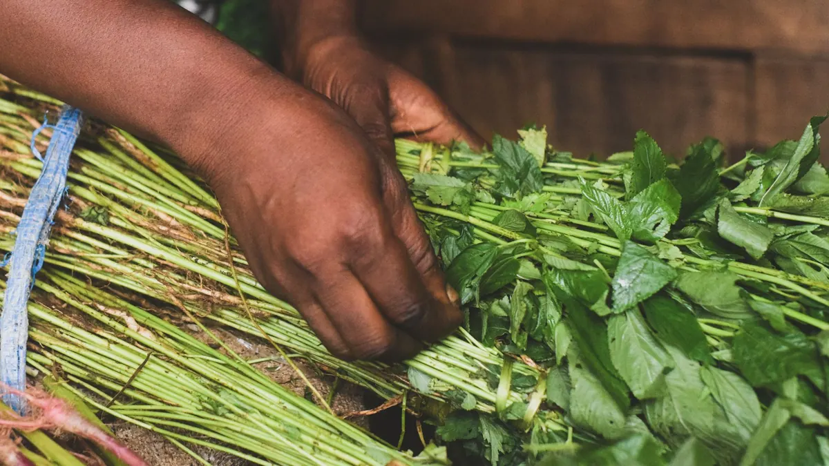leafy greens export market for ASEAN buyers