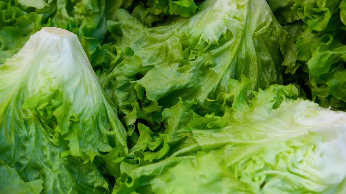 leafy greens export market for ASEAN buyers