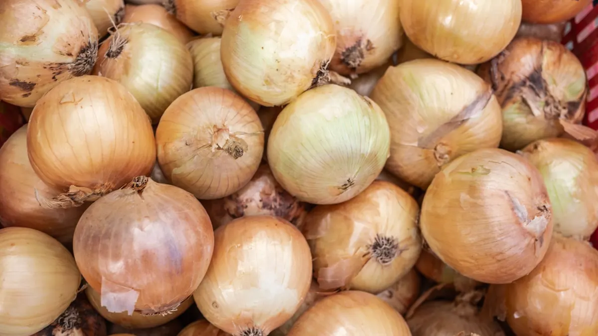 onions export market for ASEAN buyers