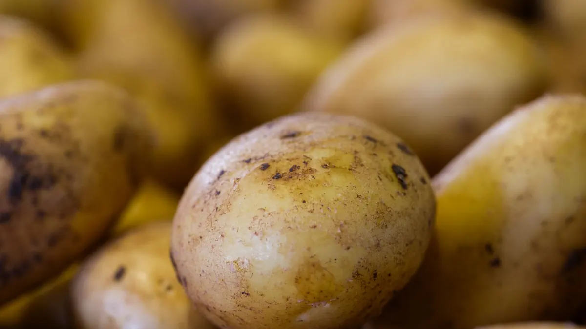 potatoes export market for ASEAN buyers