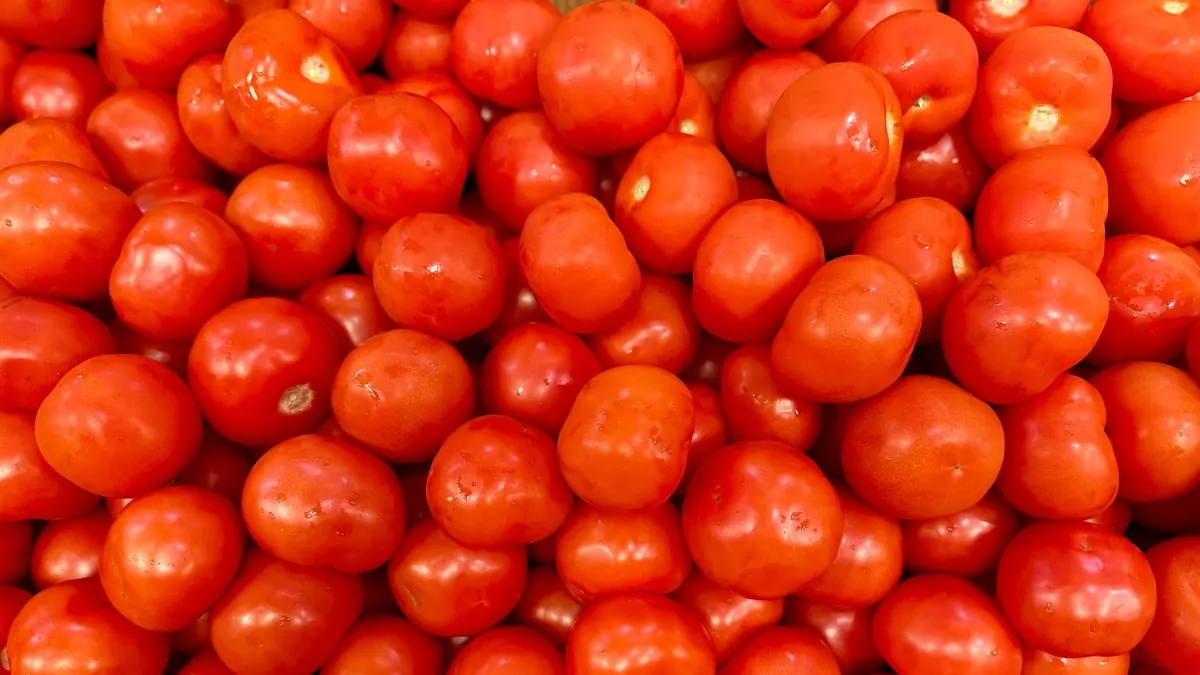 tomatoes export market for ASEAN buyers