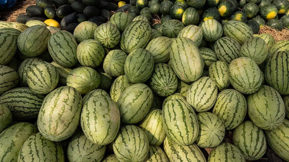 bitter gourd export market for ASEAN buyers