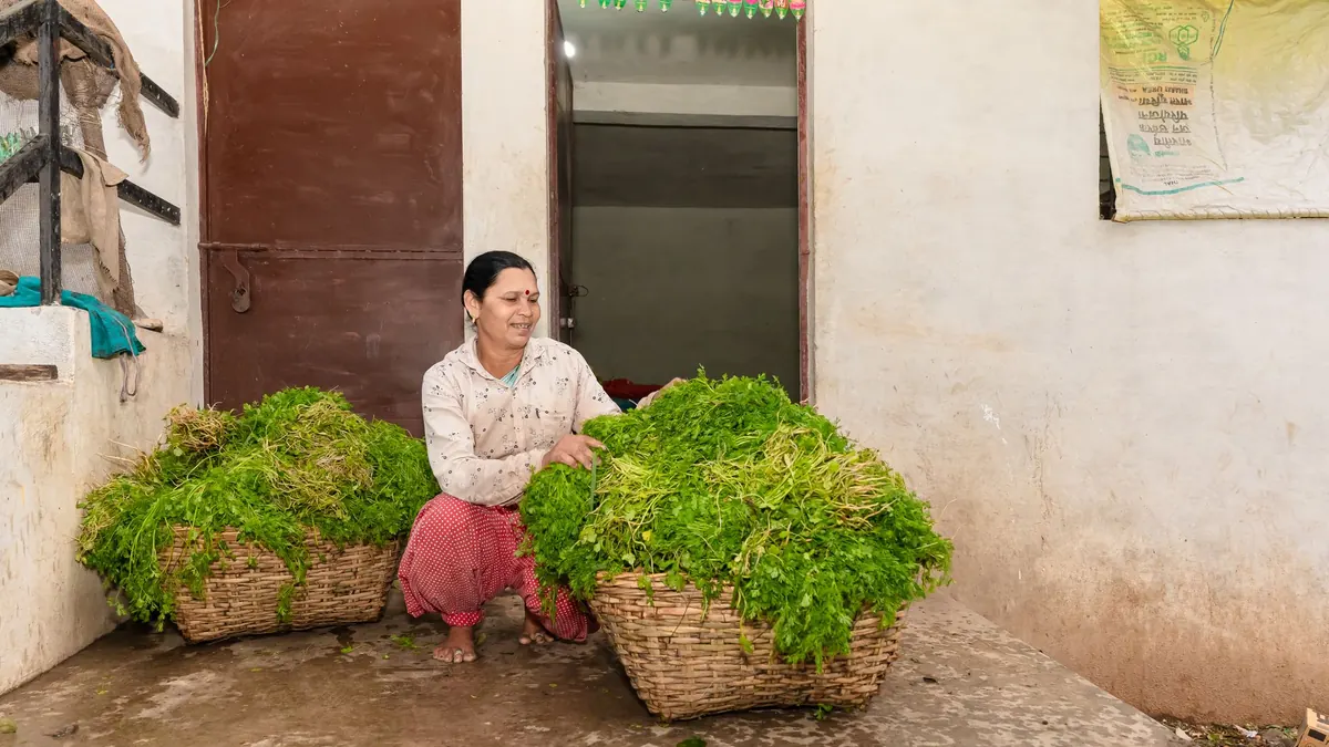 leafy greens export market for ASEAN buyers