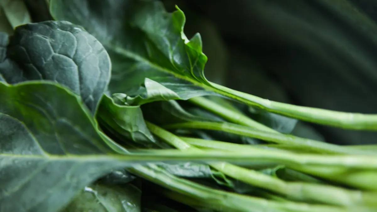 leafy greens export market for ASEAN buyers