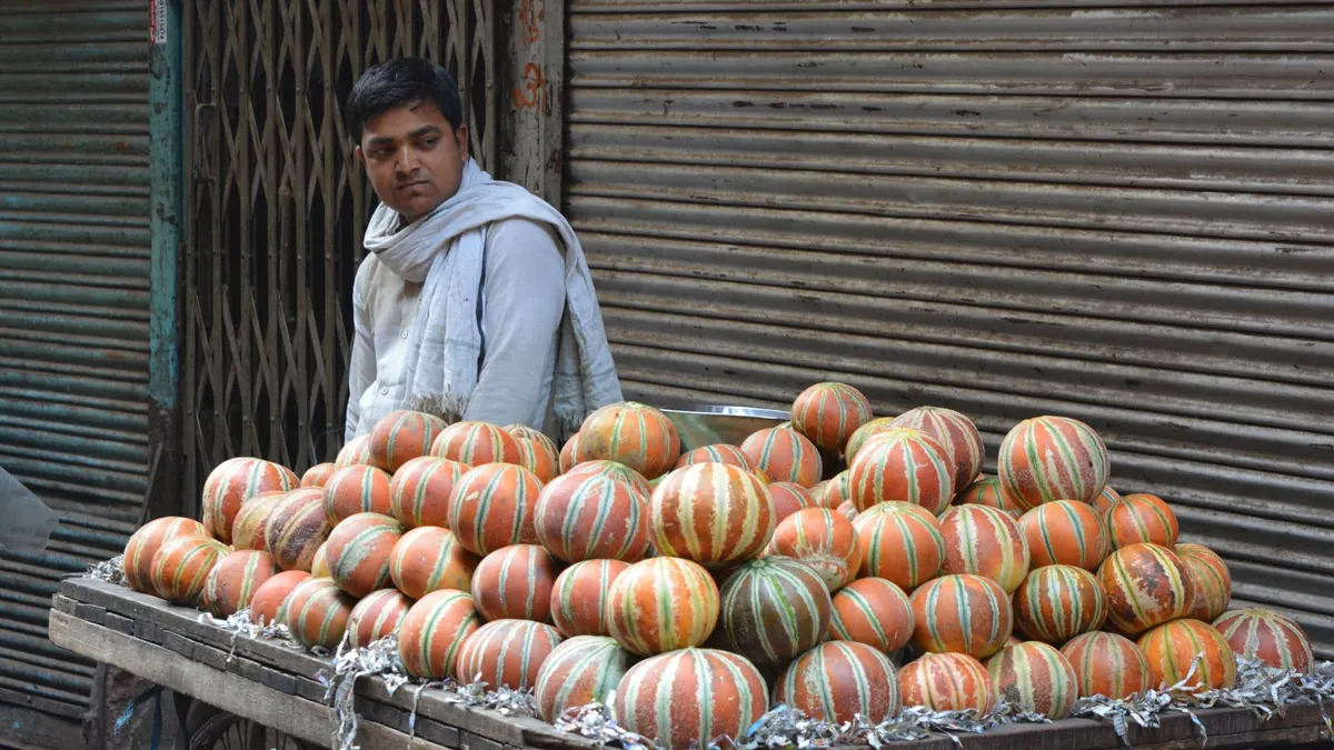 bitter gourd export market for ASEAN buyers