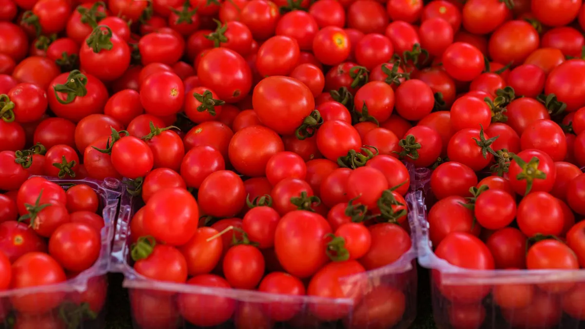 tomatoes export market for ASEAN buyers