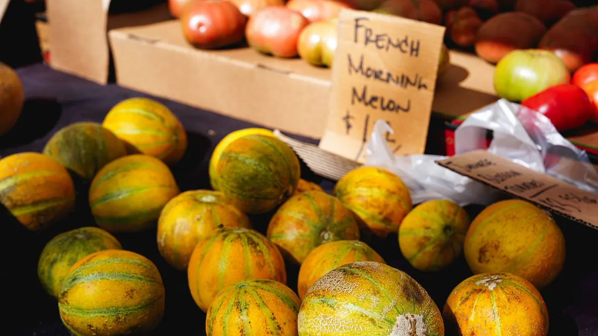 bitter gourd export market for EUROPE buyers