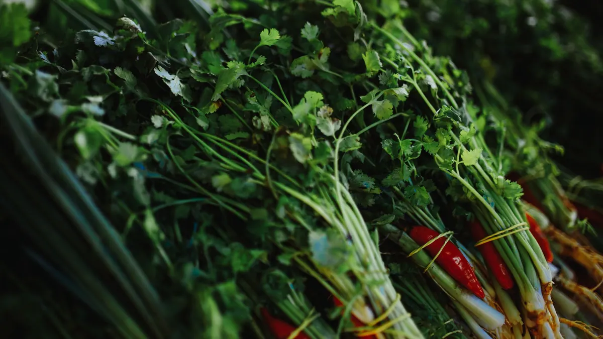 fresh produce export market for EUROPE buyers