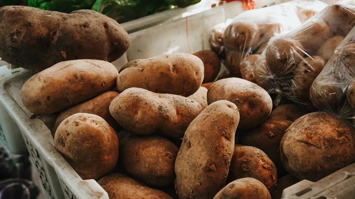 potatoes export market for EUROPE buyers