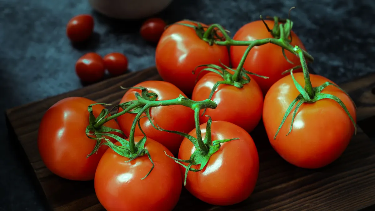 tomatoes export market for EUROPE buyers