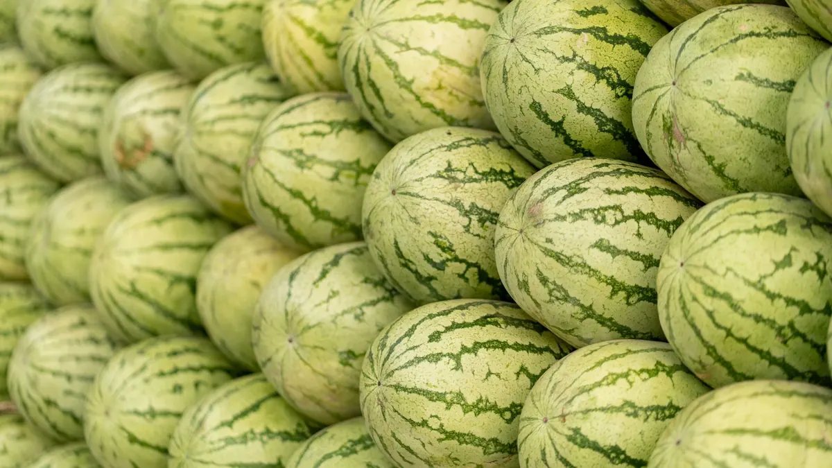 bitter gourd export market for EUROPE buyers