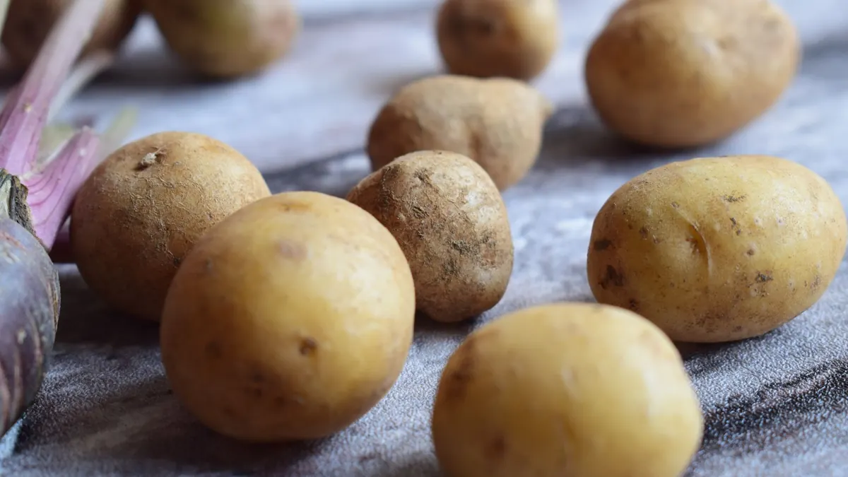 potatoes export market for EUROPE buyers