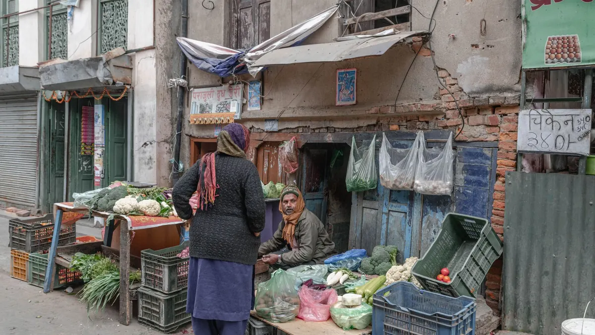 vegetables export market for EUROPE buyers