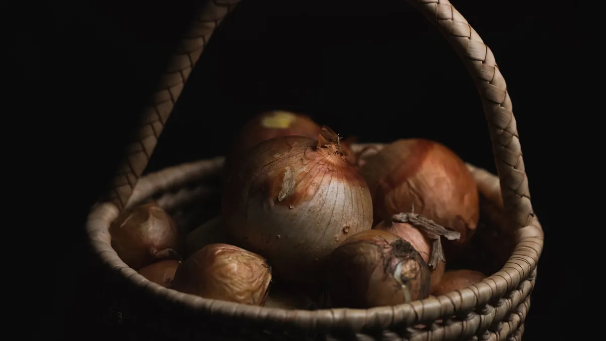 onions export market for EUROPE buyers