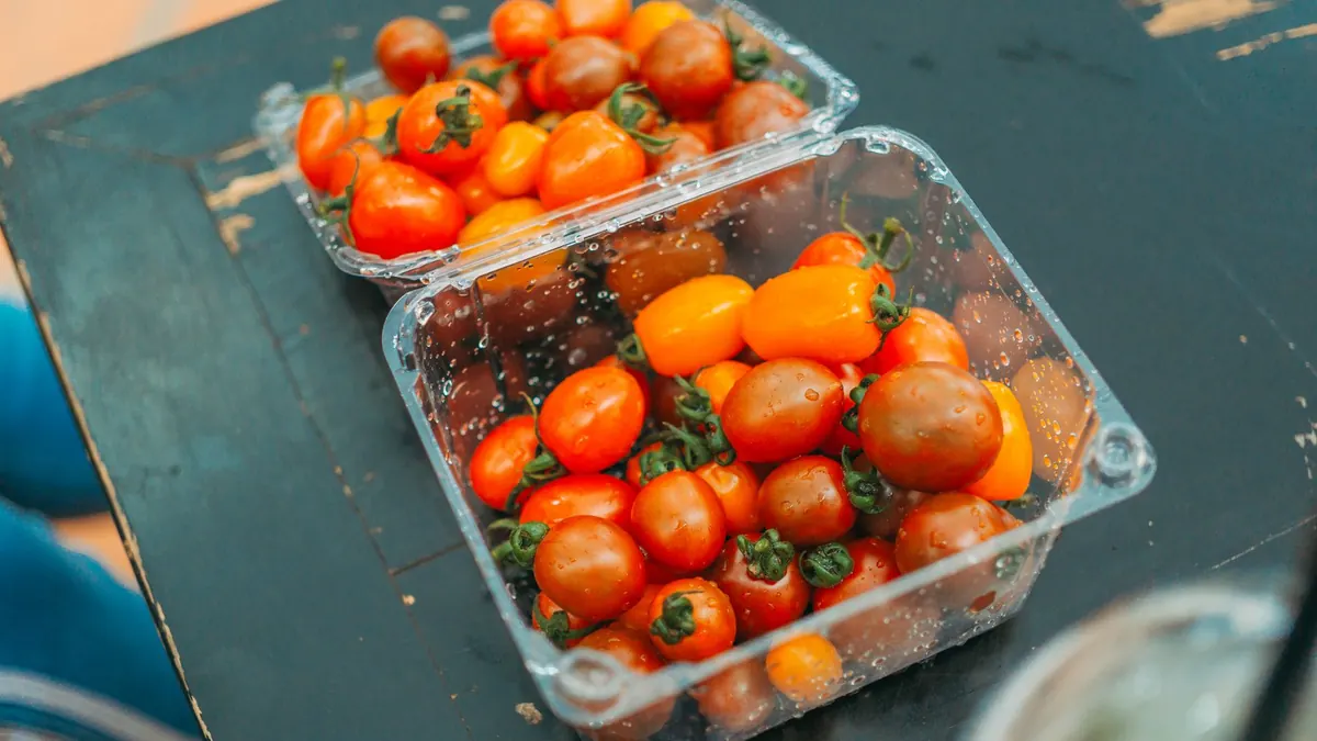 tomatoes export market for GLOBAL buyers