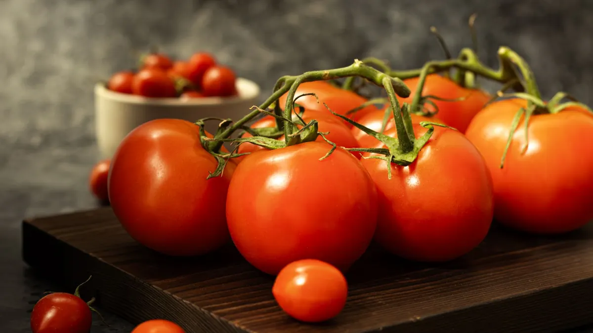 tomatoes export market for GLOBAL buyers