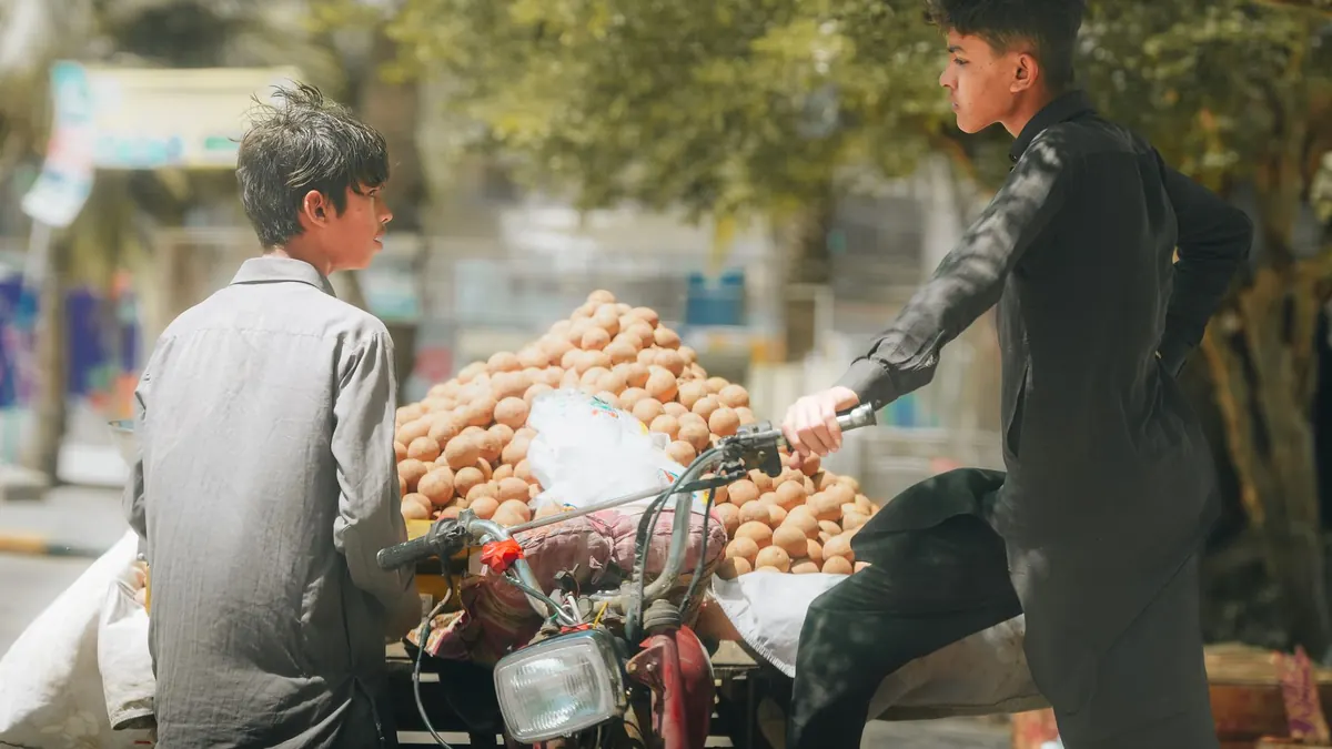 potatoes export market for GLOBAL buyers