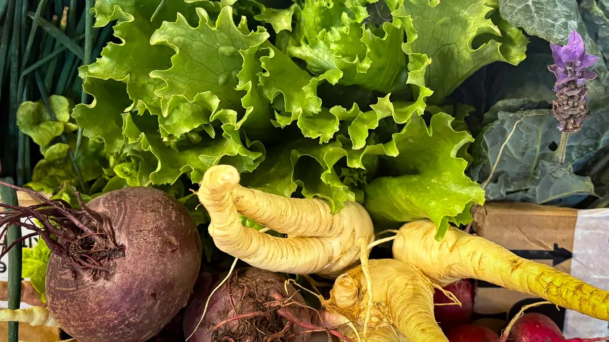 leafy greens export market for UAE buyers