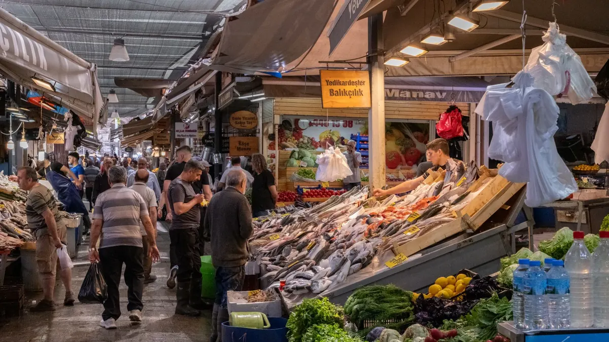 vegetables export market for UAE buyers